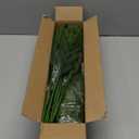 WeGuard 16 Pcs Real Touch Artificial Norfolk Pine Branches, 18 Inches Faux Norfolk Pine Stems Fake Christmas Greenery Picks for Vase DIY Garland Wreath Christmas Decorations Indoor Outdoor