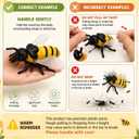 7PCS Wind-Up Insect Toys Set with Educational Fact Cards – Realistic Crawling Bug Toys for Kids, STEM Science Learning Toy, Fun Preschool Gift for Boys & Girls