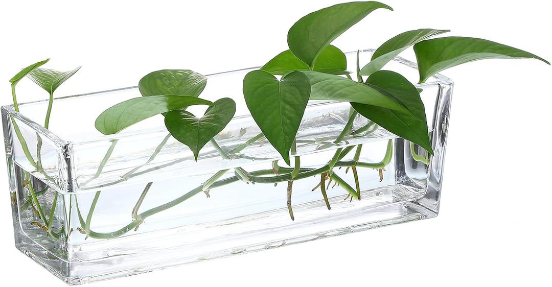 PATIKIL Rectangular Glass Vase 10x4x4 Inch, 1 Pcs Clear Planter Terrarium for Wedding