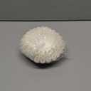 Coffee Filters 8-12 Cup, 7.875 inch x 3.25 inch, 200 Count Basket Coffee Filters, White Disposable 8 to 12 Cup Coffee Filter Paper