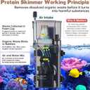 AQQA Aquarium Protein Skimmer for Saltwater Fish Tank Nano Surface Skimmer Filter Pump 79GPH Ultra Quiet for 50-80 Gallon Tank