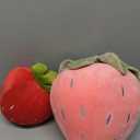 Juexica 2 Pcs Strawberry Plush Pillows Fruit Kids Pillow Soft Kawaii Strawberry Decor Aesthetic Cute Pillows Stuffed Strawberry Pillow for Room Home Car Decoration Birthday Gifts, Red Pink