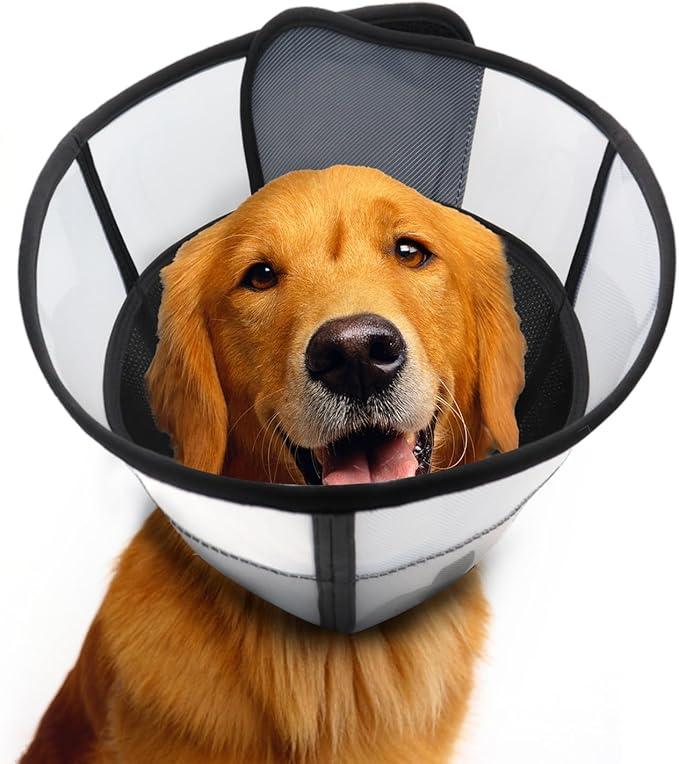WinWeal Soft Dog Cone Collar for Dogs After Surgery, Transparent Breathable Pet Recovery Collar for Large Medium Dogs, Adjustable Dog Cone Collar, Elizabethan Collar (XL, Blue)
