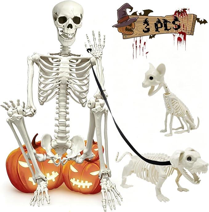 5.4Ft Posable Halloween Skeleton with Dog Cat Skeleton for Halloween Decor Full Body Life Size Human Bones with Movable Joints, Size: 65IN