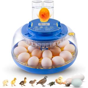 Egg Incubator with Automatic Eggs Turning Temperature Control Candler Humidity Display 18 Chicken Embryo Incubator for Hatching Chicken Duck Bird Quail Goose Turkey Reptile Fertilized Eggs