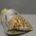 Gold Big Payette Sequin Backdrop 2 Panels 4ftx8ft Sparkly Glitter Backdrop Curtains Birthday Party Background Decoration