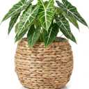 Cabilock Handwoven Hyacinth Planter Basket, Natural Woven Rattan Storage Basket for Small Plants, Eco-Friendly Indoor & Outdoor Decorative Pot Cover for Farmhouse, Boho Home Decor