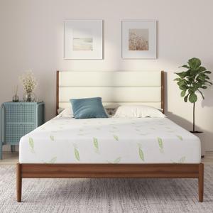 NapQueen Queen Size, 8 Inch Anula Green Tea Infused Memory Foam Mattress, Bed in a Box, CertiPUR-US Certified Mattress