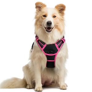 rabbitgoo Dog Harness No Pull with 2 Leash Clips, Adjustable Soft Padded, Reflective Oxford No Choke Pet Vest with Easy Control Handle for Large Dogs, Black & Hot Pink, M