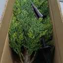 3FT Artificial Cedar Topiary Trees with Ground Spike, UV Resistant Fake Bushes Artificial Shrubs 2 Pack Faux Cypress Plants for Outdoor Indoor Front Porch Garden (35 inch)