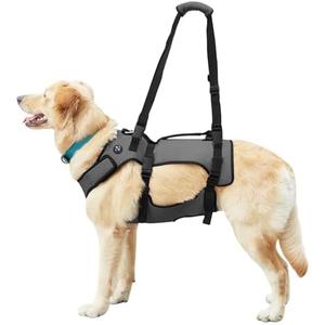 Coodeo Dog Lift Harness, Support & Recovery Sling, Pet Rehabilitation Lifts Vest Adjustable Breathable Straps for Old, Disabled, Joint Injuries, Arthritis, Paralysis Dogs Walk (Large) (Black)