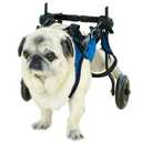 Pet Wheelchair Disabled Hind Legs Walking-Dog Leg Brace and Hip SupportDog Wheelchair for Back LegsAdjustable Pet CartAssist a paralyzed pet get Back on its feetSupport Leg Brace and Hip (Medium)