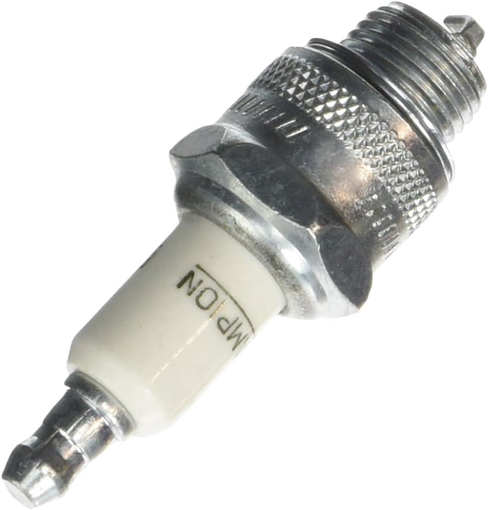 Champion RJ19LM - La buja del motor