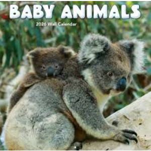 TURNER PHOTOGRAPHIC Baby Animals 12x12 Photo Wall Calendar (26998940006)