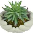 Small Artificial Plants, Mini Succulent Plants with Cute Plant Pot, Artificial Succulents in Pots for Office Desk Decor and Bedroom Kitchen Bathroom Plants Decor (B)