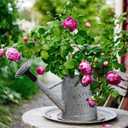 Garutom Galvanized Watering Can for Outdoor Indoor Plants, 1 Gallon Decorative Countryside Style Water Can with Removable Spout, Perfect Metal Watering Can for Indoor Plants and Garden Flower