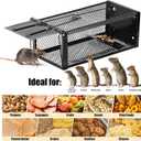 2 Pack Humane Rat Traps 12.5"x5.5"x4.5", Reusable Mouse Traps for Indoor/Outdoor Use, No-Kill Live Capture for Chipmunks, Squirrels, Rats, Mice