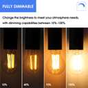 Energetic Dimmable A19 LED Edison Light Bulb, 12W Equivalent 100W, 1600LM High Brightness, 2700K Soft White, Clear Antique LED Filament Bulb for Home, Bathroom, E26 Standard Base, 6-Pack