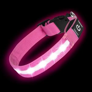 Super Bright LED Dog Collar - Fully Waterproof & Adjustable Glow Collar - USB-C Rechargeable for Night Walking, Safety - Flashing Lighted Collar for Dogs(Pink,M) (Medium (14.5" - 19.5" ))