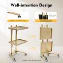 2 Tier Metal Rolling Cart, Stainless Steel Salon Tray with Wheels, Foldable Utility Carts, Folding Salon Tray Trolley for Tattoo (Golden)