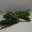 35" Ferns Artificial Bush Plants Large, 2 Artificial Boston Ferns with 39 Fronds for Outdoors Home Decor