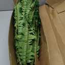 Dkaltm Single Silky Artificial Boston Fern Bush, 49Inch Large Artificial Ferns for Outdoors, Large Faux Ferns Artificial Plants,Suitable for Decorating Office, Living Room Faux Greenery,95Branches