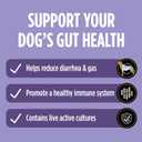 Purina Pro Plan Veterinary Supplements FortiFlora Daily Probiotics for Dogs, Helps Digestive Gut Health and Diarrhea - 30 ct. Box
