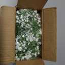 Dolicer 2 Pcs Babys Breath Artificial Flowers Vines, Faux White Hanging Baby Breath Garland, Real Touch Fake Babys Breath Gypsophila for Wedding Party Backdrop Wall Home Decor