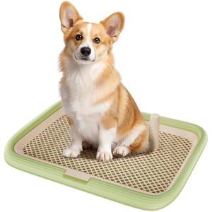 Dog Potty Tray, 23.6"x17.7" Indoor Pet Pee Pad Holder,Puppy Training Holder,Bathroom Dog Litter Box, Pet Toilet for Small and Medium Dogs,Housebreaking Supplies, Pet Products (Green)