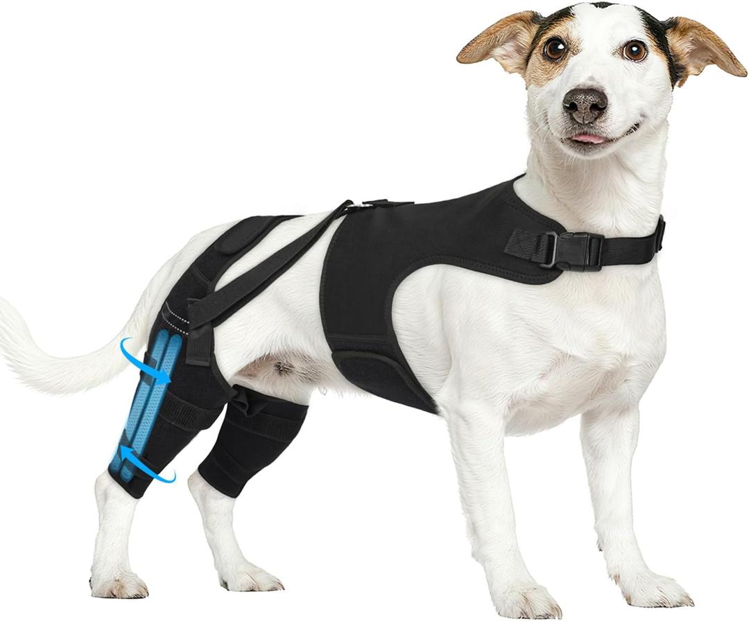 Dog Knee Brace for Back Leg, Adjustable Dog Leg Brace with 4 Stabilizers, Hip Support to Reduces Pain, Ligament Injuries & Luxating Patella & ACL CCL for Small Medium Large Dogs, S