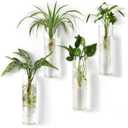 Mkono Propagation Station Wall Planter Hanging Glass Tubes Flower Vase for Hydroponics Plants, Bathroom, Home Office Living Room Decor Gift, Cylinder Set of 4(Plants not Included)