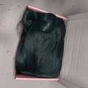 Colorful Queen Green Wig 26 Inch Long Green Wigs for Women Middle Part Curly Wig Natural Looking Synthetic Heat Resistant Fiber Wig for Daily Party Cosplay Use