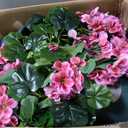 2-Pack Artificial Boxwood Topiary Ball Plant with Pink Flowers, Ground Stake, UV-Resistant Outdoor & Indoor Decorative Flowers