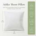 Ashler Throw Pillow Inserts 22 x 22 Inches Set of 4, Indoor Decorative Pillows, Soft and Firm Pillows with Air Layer, Square Cushion Sham Stuffer for Couch and Living Room