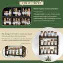 60-Pack 0.68 oz (20 ml) Glass Bottles with Cork Stoppers for Spell Bottles, Spice Jars, DIY Party Favors, Travel Memories & Plant Propagation Empty Recyclable Containers for Crafts, Kitchen,Dcor