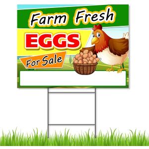 Fresh Eggs for Sale Sign, 18x24 DS Coroplast, Large Outdoor Farm Fresh Eggs Sign with Blank Space for Personal Info
