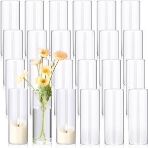 Mimorou 24 Pcs 8 Inch Tall Glass Vases Bulk Clear Cylinder Flower Vases