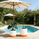 GreenShip Planter Set of 2 (13.8" & 11.8") – Cylinder Planters with Drainage Hole and Planter Saucer, Jun Porcelain Clay & Recycled Resin, Decorate Home,Office & Outdoor,White pots, 13.7in+11.8in