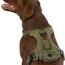 KONG Ultra Durable Waste Bag Harness (Medium, Green)