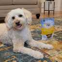 Exclusively Dog Chewy Training Treats Savory Chicken Flavor Grain Free Gluten Free, 100% sourced and Made in The USA, 6 oz. (EXP 02/01/26)