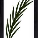 NAOKBOEE 10x24 Picture Frame in Black, Photo Frames with Plexiglass, Horizontal and Vertical Formats for Wall Mounting