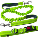 Green Hands-Free Dog Lead Leash, Adjustable Waist Belt and Stretchy Bungee Lead, Jogging Dog Lead with Reflective Stitching (Grey Handle)