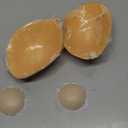 HAND Bra Pads 1269 - Nude Colour Replacement Push Up Bra Pads Inserts - Pack of 2 Pairs