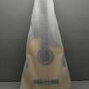 Mini II EB-CE
Guitar