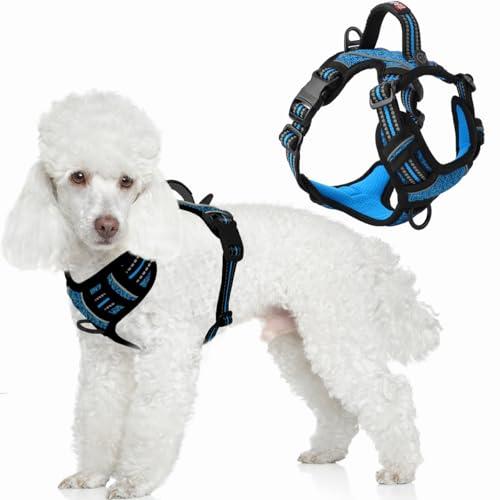 BARKBAY Dog Harness No Pull with ID Tag Pocket - Heavy Duty, Reflective, Easy Control for Small Dogs(Blue/Black,S)