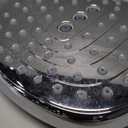 hansgrohe 26521001 Raindance Select 120 Handshower, Chrome