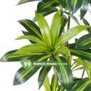 Dracaena Plant Artificial Tree 5Ft Tall Fake Tropical Floor Plants Potted (Real Touch) Artificial Silk Tree Leaf Faux Trees Black Tall Planter for Home Office Living Room Indoor Outdoor Decor