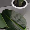 Artificial Bird of Paradise Plant 4Ft Tall Fake Tropical Palm Tree Large Fake Plants with 9 Silk Banana Leaves Faux Plant Indoor Decor Trees with White Pot for Home Bedroom Living Room Office