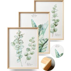 Framed Wall Art,Minimalist Botanical Canvas Wall Art for Living Room,12x16in Plant Wood High-Framed Design Flower Green Eucalyptus Leaf Artworks Prints Poster for Bathroom,Bedroom Set of 3