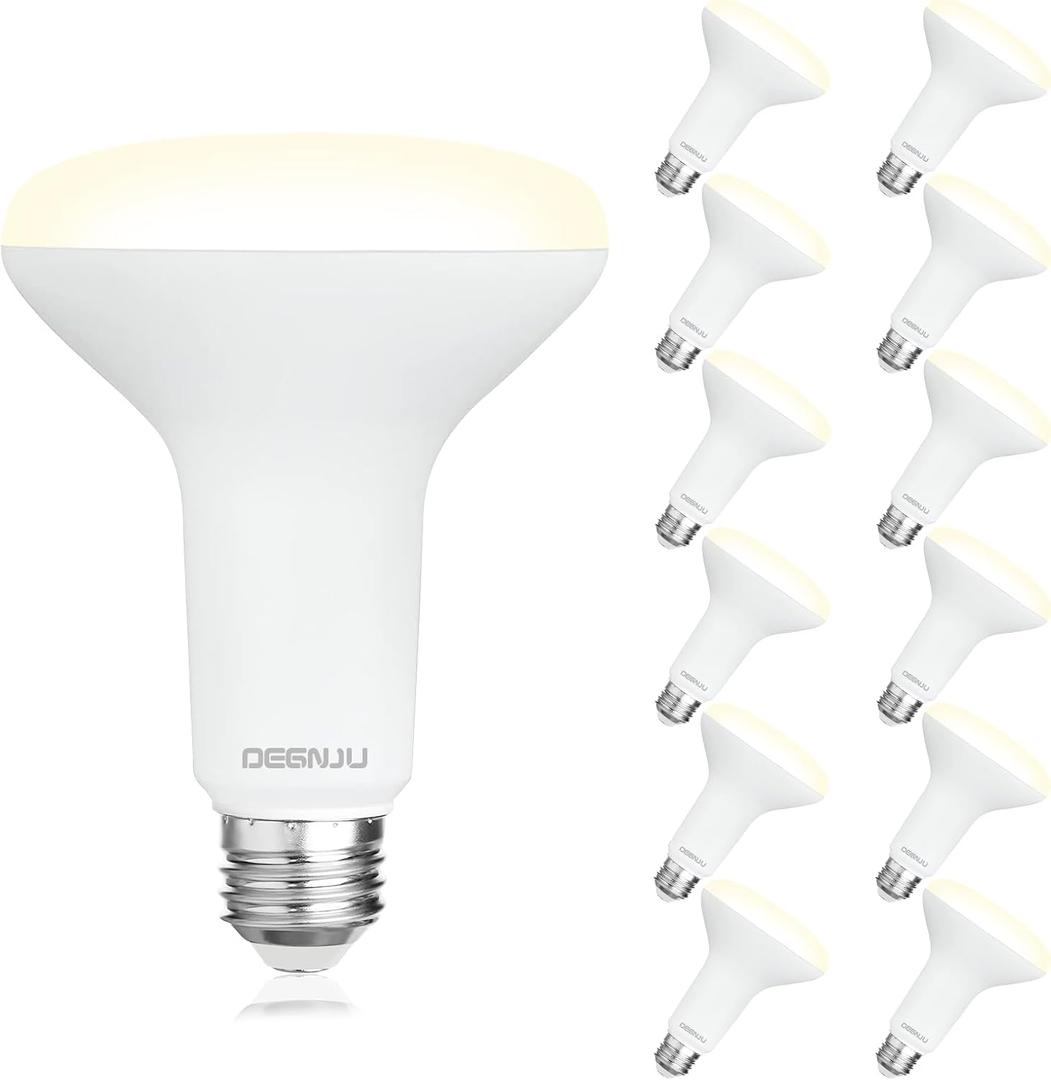 DEGNJU 12 Pack BR30 LED Recessed Light Bulb, Dimmable Indoor Flood Light Bulbs CRI80 7W Equivalent 65W 3000K Warm White 650 Lumens, 15000 Lifetime Hours E26 Base LED Can Light Bulb, Flicker-Free
